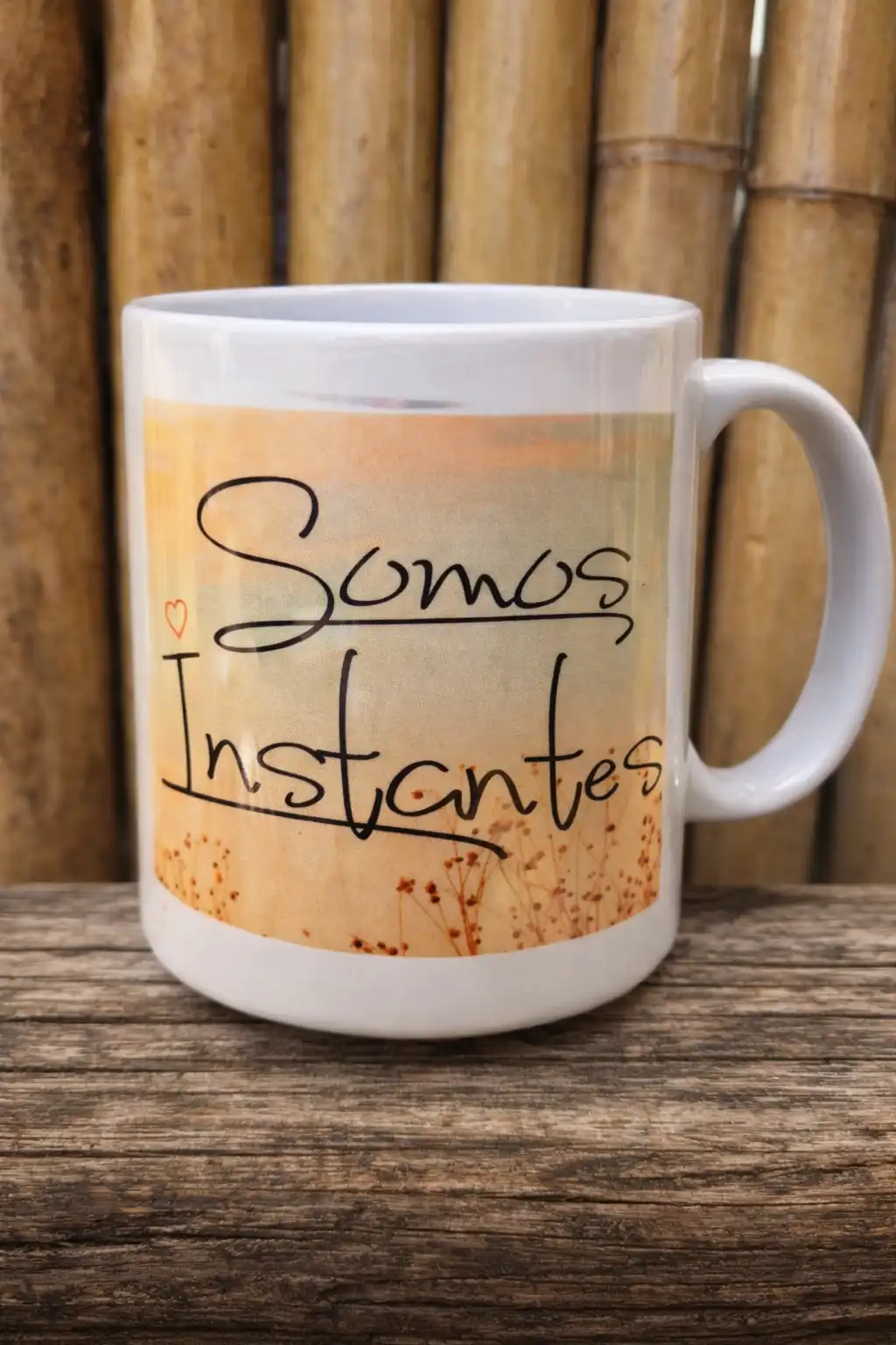 Somos Instantes
