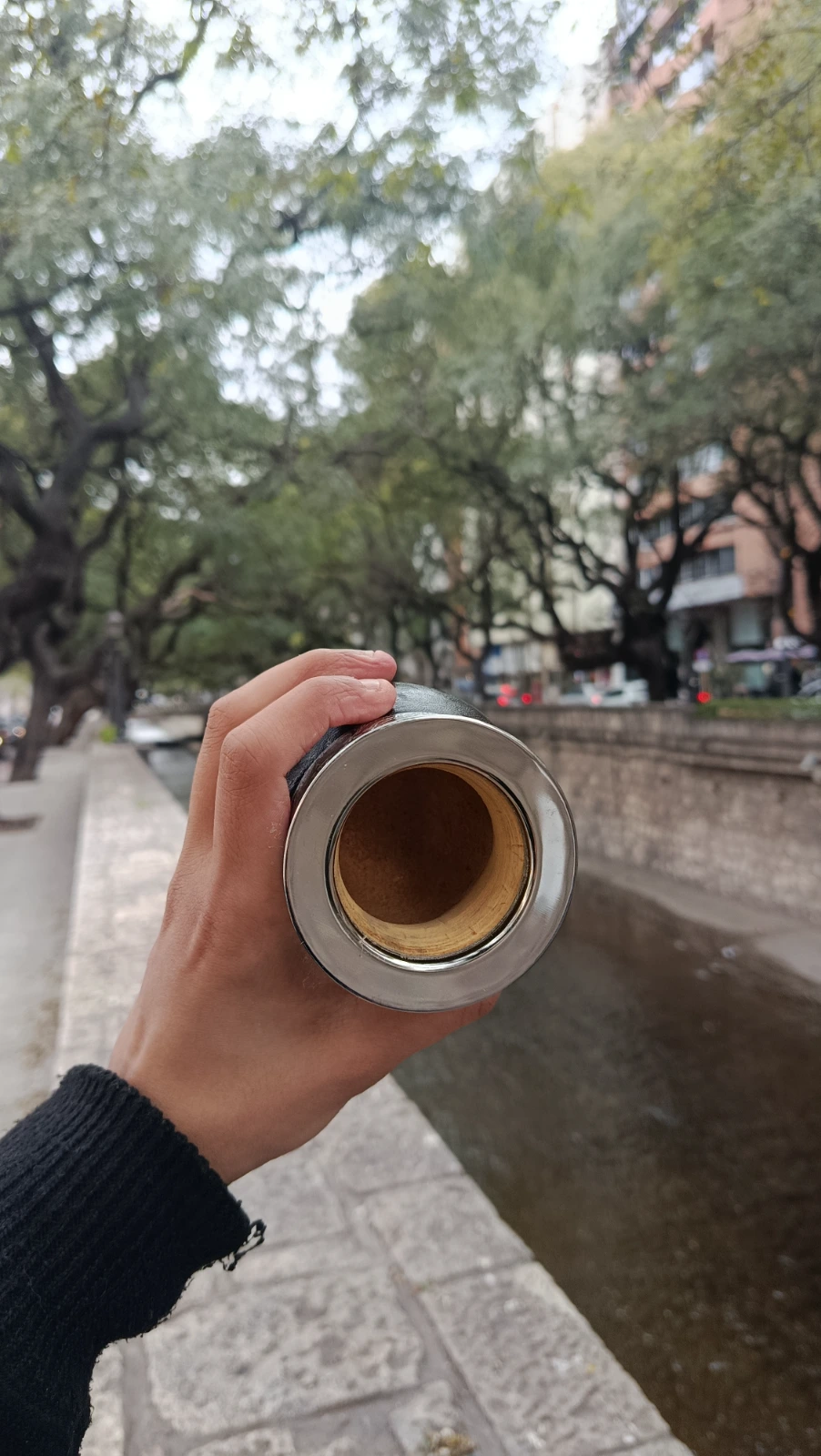 Mate imperial de calabaza - 2