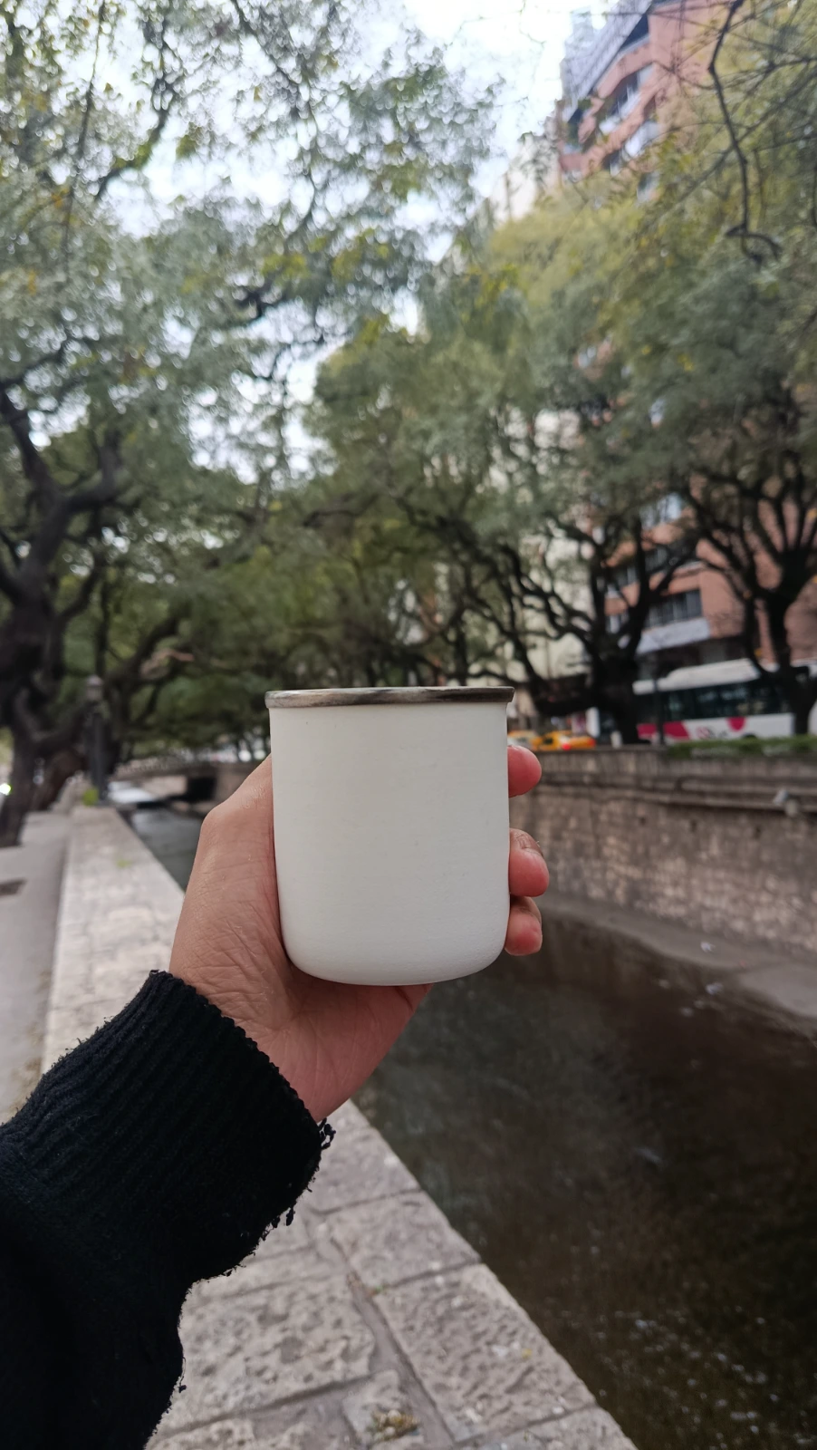Mate de acero inoxidable - 1