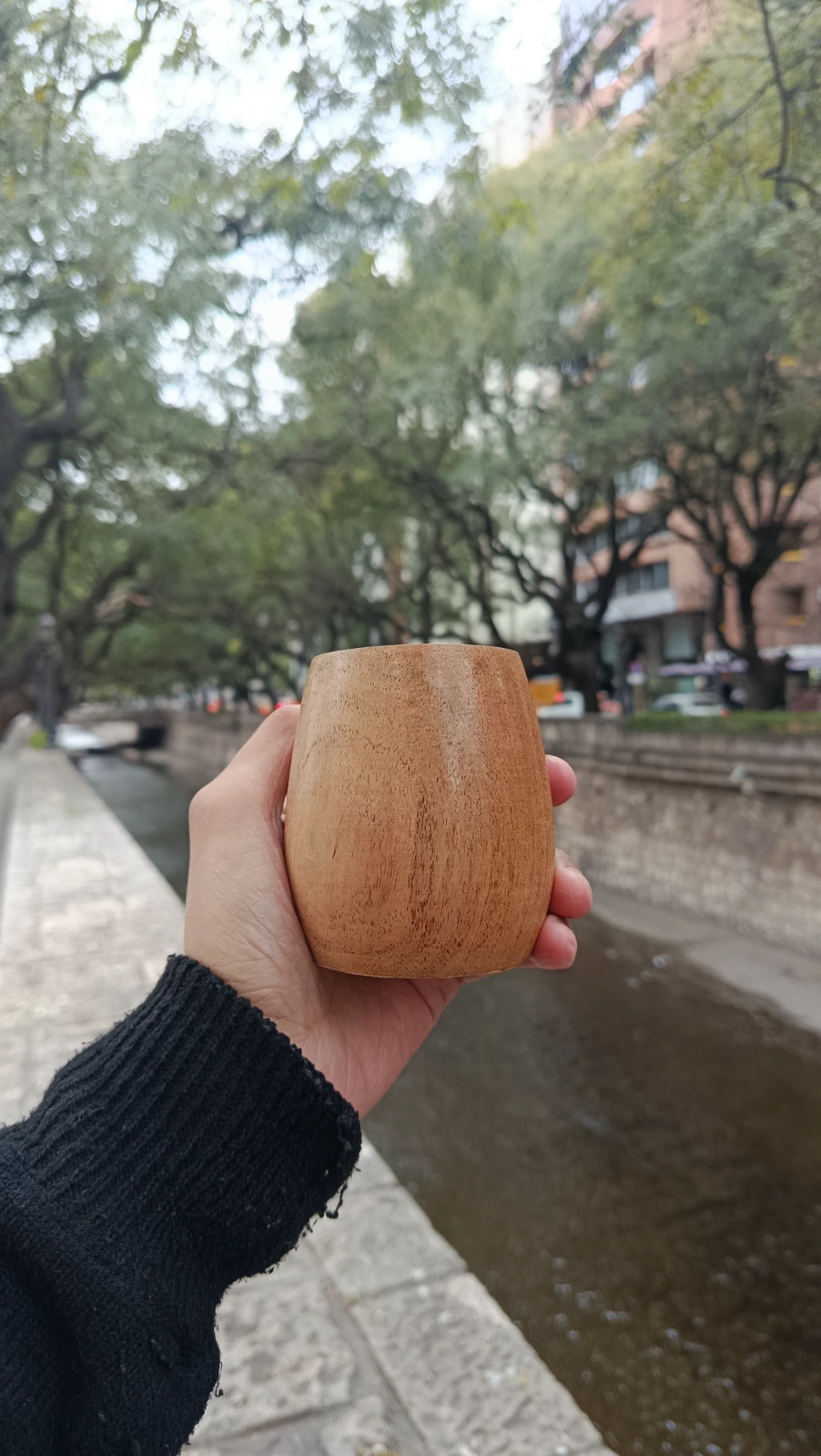 Mate perita - 1
