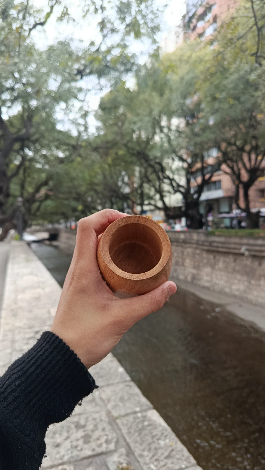 Mate perita - 2